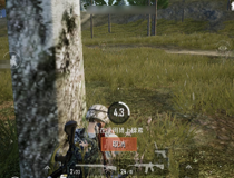 和平精英药品作用 和平精英药品作用介绍2