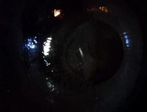 番茄藕丁的做法 9个步骤快速完成5