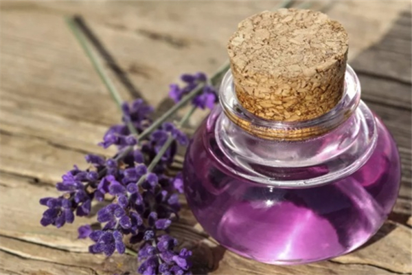薰衣草精油和什么基础油搭配 薰衣草精油为什么不能直接涂 薰衣草精油和什么基础油搭配 薰衣草精油为什么不能直接涂