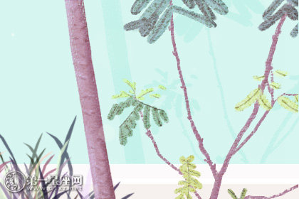 十里茶道一片花海 2020龙岩永福樱花什么时候开 十里茶道一片花海 2020龙岩永福樱花什么时候开