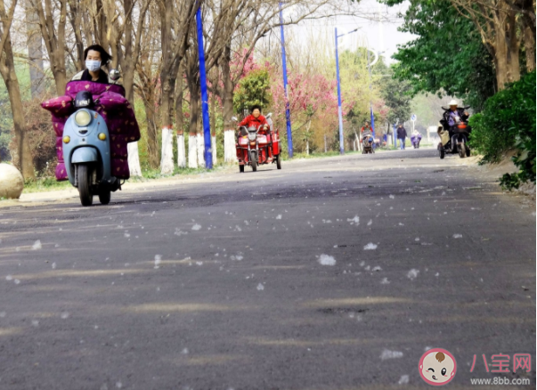 飞絮会传播新冠病毒吗 飞絮季孩子如何做好防护 飞絮会传播新冠病毒吗 飞絮季孩子如何做好防护