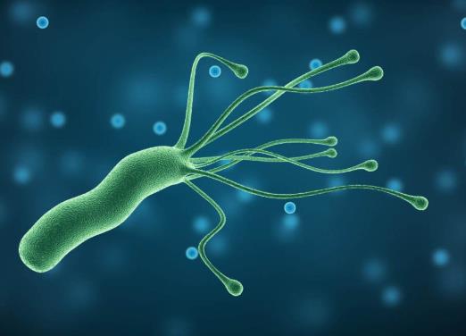 幽门螺杆菌阳性会得什么病?幽门螺旋杆菌致癌物有多可怕