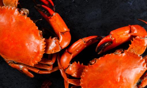 螃蟹和什么一起搭配吃最好 螃蟹吃完不舒服怎么办