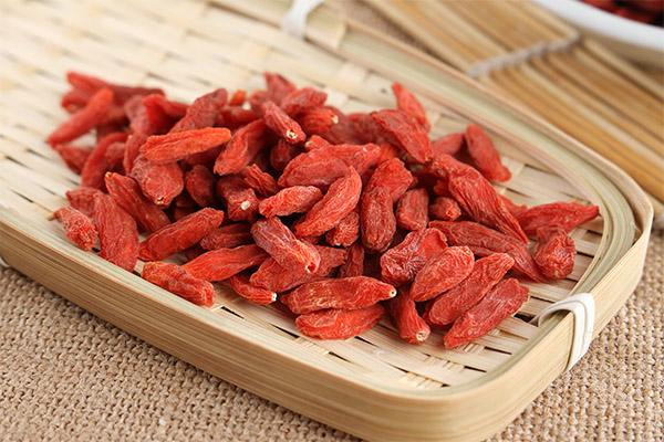 枸杞子能和菊花一起泡水喝吗 枸杞子能和金银花一起泡水喝吗 枸杞子能和菊花一起泡水喝吗 枸杞子能和金银花一起泡水喝吗