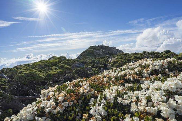 台湾十大爬山好去处