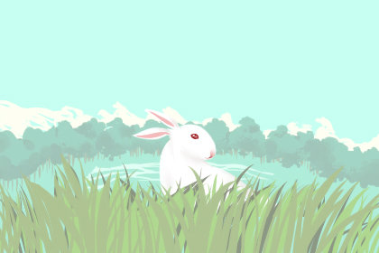 泡茶的步骤 泡茶的步骤