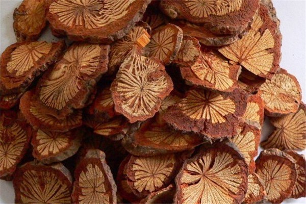 大血藤对孕妇有影响吗 大血藤的禁忌人群 大血藤对孕妇有影响吗 大血藤的禁忌人群