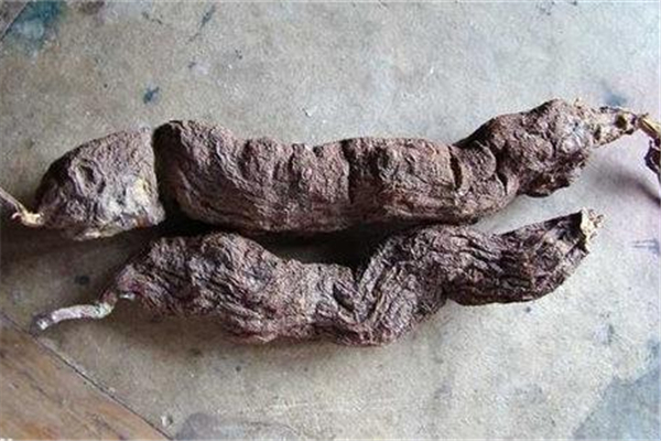 何首乌是补阴还是补阳 何首乌的功效和作用 何首乌是补阴还是补阳 何首乌的功效和作用