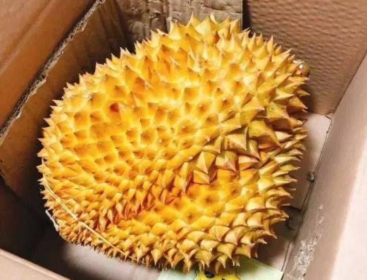 经期吃榴莲能排毒排污血是真的吗?有青草味道的榴莲能吃吗