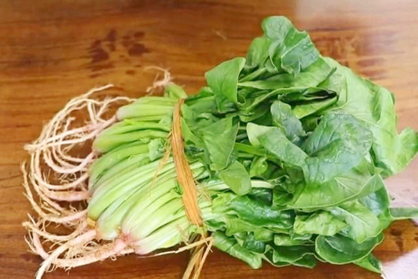 菠菜能不能天天吃 菠菜吃了对身体好吗 菠菜能不能天天吃 菠菜吃了对身体好吗
