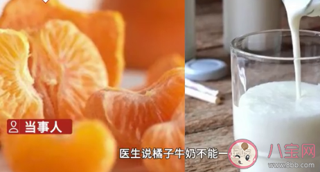 橘子和牛奶不能同时吃吗 吃了橘子还能喝牛奶吗 橘子和牛奶不能同时吃吗 吃了橘子还能喝牛奶吗