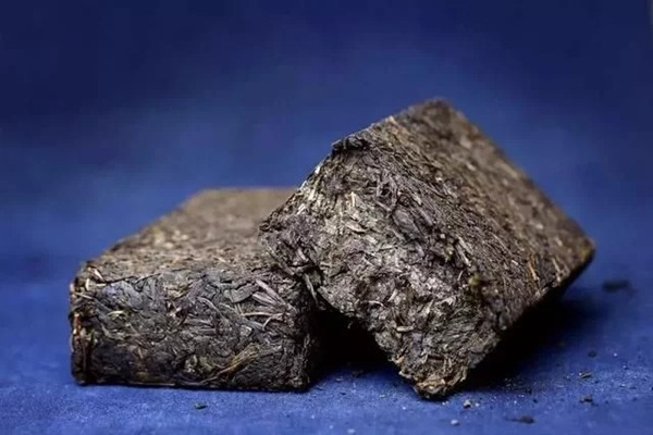 黑茶怎么挑选 黑茶会解药性吗 黑茶怎么挑选 黑茶会解药性吗