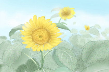 夏至节气养生什么蔬菜能吃出水润肌肤 夏至节气养生什么蔬菜能吃出水润肌肤