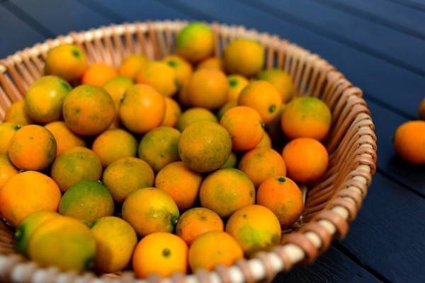 金桔的热量是多少大卡 金桔会不会发胖 金桔的热量是多少大卡 金桔会不会发胖