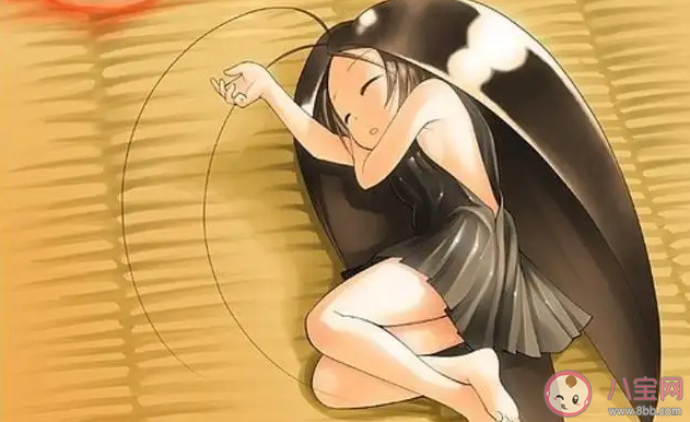 蟑螂怎么消灭 消除蟑螂的办法有哪些