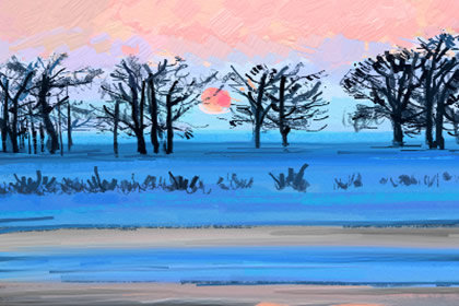 吃秋葵的禁忌有哪些 吃秋葵的禁忌有哪些