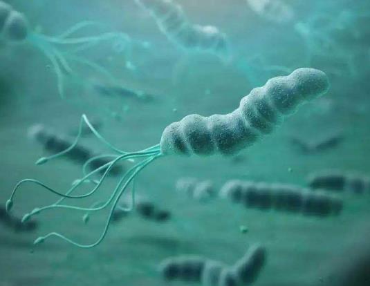 幽门螺杆菌阳性会得什么病?幽门螺旋杆菌致癌物有多可怕