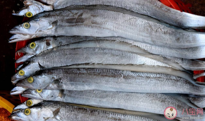 带鱼皮的颜色越白营养价值越高是真的吗 买带鱼黑眼睛好还是黄眼睛好 带鱼皮的颜色越白营养价值越高是真的吗 买带鱼黑眼睛好还是黄眼睛好