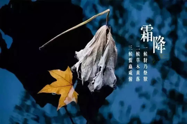 霜降一定会下霜吗 霜降温度大约是多少 霜降一定会下霜吗 霜降温度大约是多少