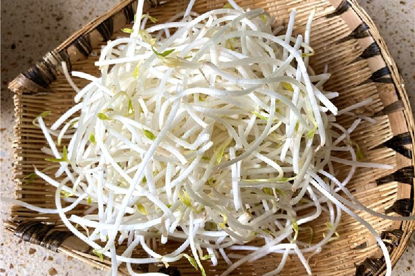 绿豆芽有点苦怎么回事 绿豆芽发苦还能吃吗 绿豆芽有点苦怎么回事 绿豆芽发苦还能吃吗