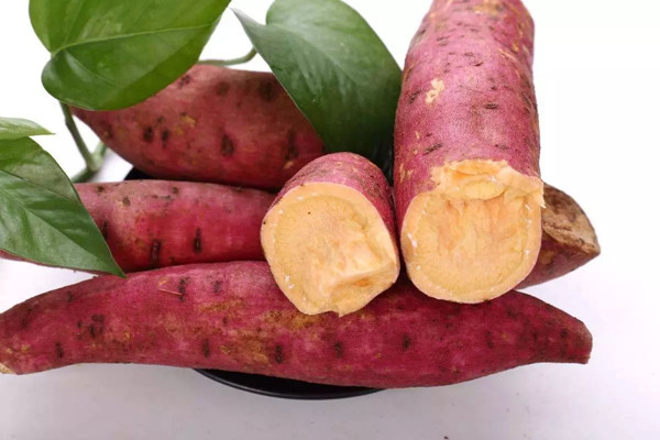 红薯发芽了能不能吃 红薯可以空腹吃吗 红薯发芽了能不能吃 红薯可以空腹吃吗