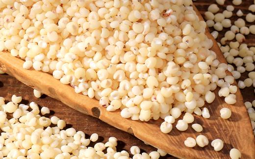 吃高粱米可以减肥吗 高粱米吃了有什么好处