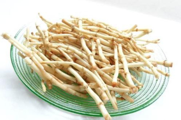 鱼腥草为什么有腥味 鱼腥草怎么去腥味