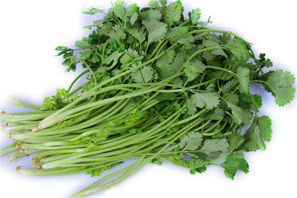 香菜怎么择 香菜怎么挑选 香菜怎么择 香菜怎么挑选