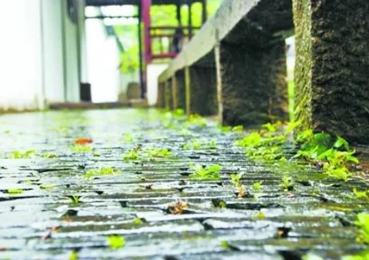 苏州的梅雨季节是几月份到几月份?苏州梅雨季节在什么时候