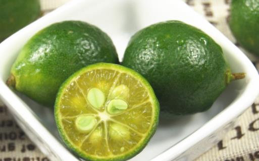 金桔为什么可以止咳 止咳用金桔还是青金桔