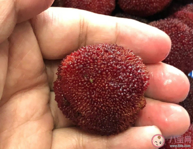 杨梅有虫到底能不能吃 怎么去除杨梅里的虫子 杨梅有虫到底能不能吃 怎么去除杨梅里的虫子