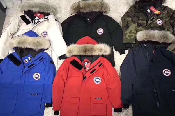 加拿大鹅的充绒量是多少 加拿大鹅适合的温度多少 加拿大鹅的充绒量是多少 加拿大鹅适合的温度多少