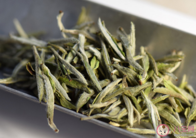 不同茶叶怎么保存 茶叶的五个存储禁忌