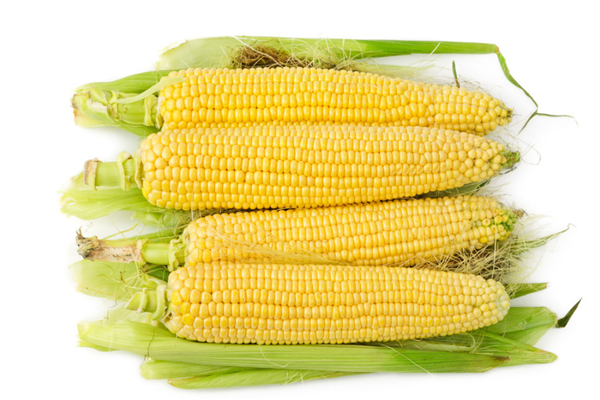 玉米是凉性还是热性 玉米是酸性还是碱性 玉米是凉性还是热性 玉米是酸性还是碱性