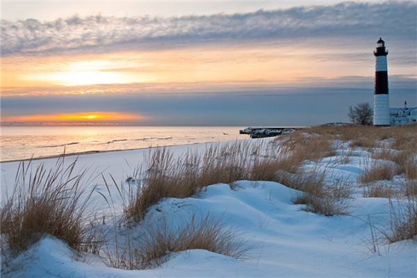 冬季吃板栗有什么好处 冬季有什么菌菇 冬季吃板栗有什么好处 冬季有什么菌菇