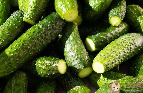 黄瓜削皮吃会浪费营养吗 吃黄瓜要不要削皮 黄瓜削皮吃会浪费营养吗 吃黄瓜要不要削皮