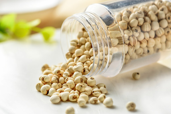 川贝母6001.jpg 川贝母6001.jpg