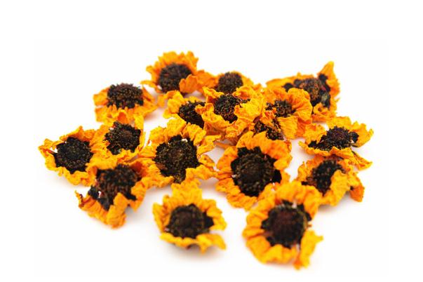 雪菊可以长期饮用吗 雪菊的禁忌人群 雪菊可以长期饮用吗 雪菊的禁忌人群