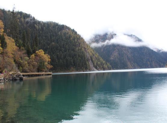 小孩的行程码怎么弄?行程卡是实时更新的吗