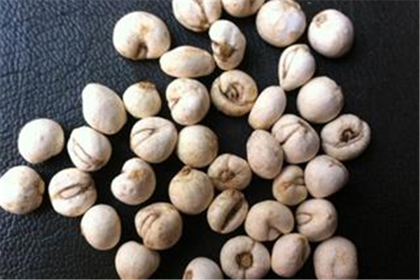 平贝母可以炖雪梨吗 平贝母煮梨多久能吃 平贝母可以炖雪梨吗 平贝母煮梨多久能吃