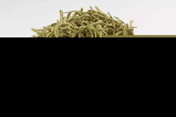 金银花泡水能治咽炎吗 金银花泡水能治咳嗽吗