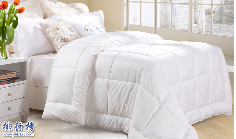 羊毛被十大品牌排行榜:羊毛被什么牌子好?