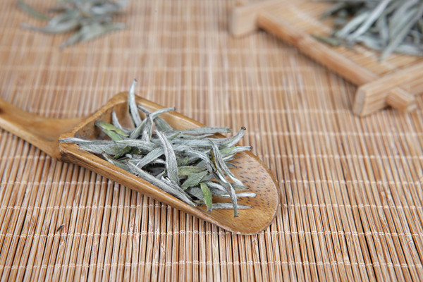 白茶喝了会失眠吗 白茶喝了会拉肚子吗 白茶喝了会失眠吗 白茶喝了会拉肚子吗