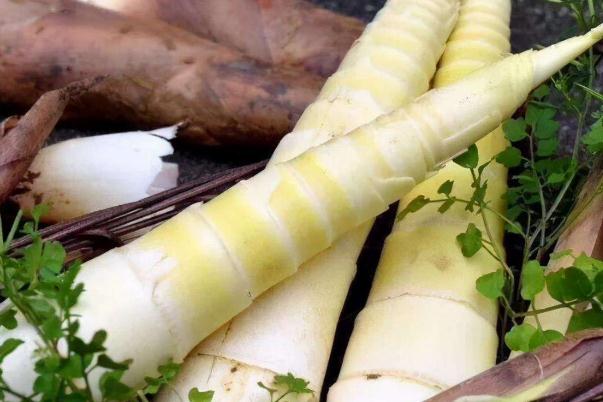 春笋有点黑还能吃吗 春笋会过敏吗 春笋有点黑还能吃吗 春笋会过敏吗