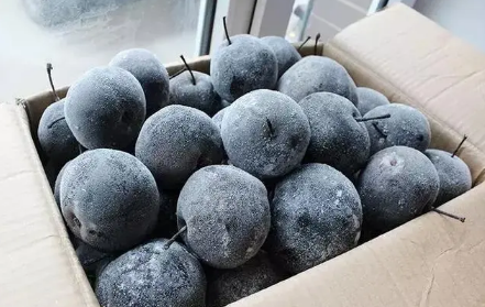 梨放冰箱冷冻就是冻梨吗1