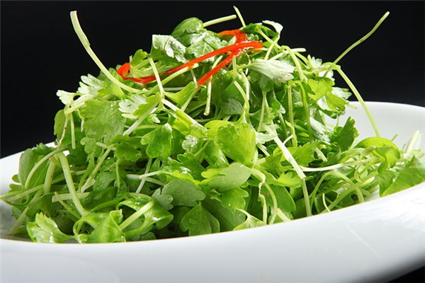 香菜怎么择 香菜怎么挑选 香菜怎么择 香菜怎么挑选