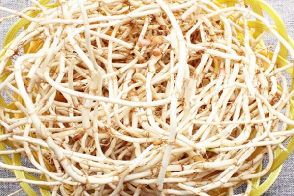 鱼腥草可以泡水喝吗 鱼腥草可以长期泡水喝吗 鱼腥草可以泡水喝吗 鱼腥草可以长期泡水喝吗