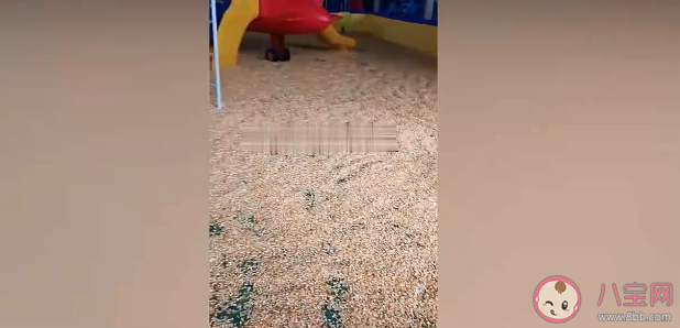 用玉米粒铺地当沙子做法可取吗 会有什么安全隐患 用玉米粒铺地当沙子做法可取吗 会有什么安全隐患