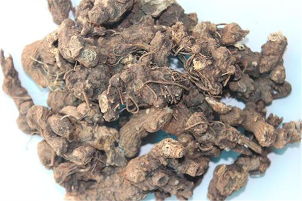 苍术可以煲汤吗 苍术的功效和作用