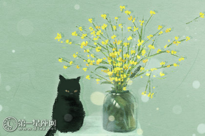 十里茶道一片花海 2020龙岩永福樱花什么时候开 十里茶道一片花海 2020龙岩永福樱花什么时候开